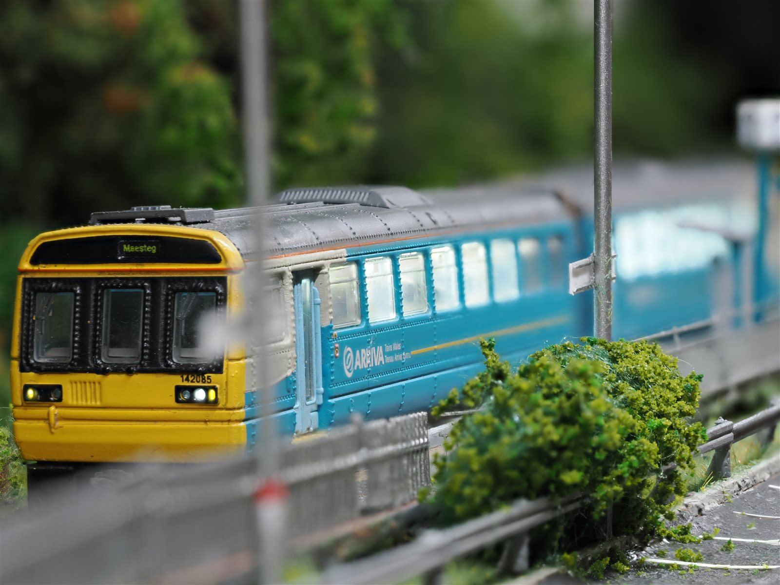 Class 142 Pacer 142085 emerging past lineside foliage